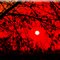 Sonnenuntergang an der Lehmbahn