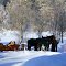 ♥ Winterwunderland ♥ - **  - ♥ Winter Wonderland ♥