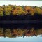 Reflection