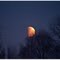 BL_21.12.2010_Beginnende Mondfinsternis _ eclipse of the moon