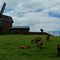 Berlin-Marzahn, Idylle an der Mühle