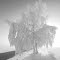 Lichtgestalt