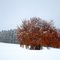 On the edge of a new season