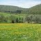 Landschaft auf der Schwäbischen Alb im Frühling