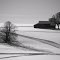 Spuren im Winter
