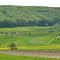 so schön ist der Frühling ~ auf der Schwäbischen Alb