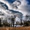 cielo fantastico - Schafwaschen am Chiemsee