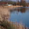 Mammingerschwaigen