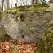 Burgstall Neuhaus, Stein mit Bearbeitungsspuren; 17.3.13 D.F