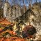 Burgruine Heilsberg; 17.3.13 D.F.