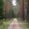 Der Weg [the way]