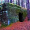 sörpince / Beer cellar