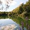 Petersgmünd-Petersgmünder Weiher-D
