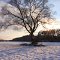Dezember 2012- Büchenbach - D