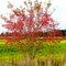 Herbst in Deutschland & Bayern