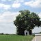 Wanderung BayrischerWald-Allgäu(204)Mein Weg