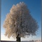 winterwonderland