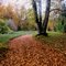 Bunter Herbst