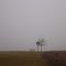 2011-02-14 Bonjour Tristesse
