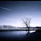 Einsamer Baum