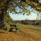 Ruheplatz mit Aussicht- rest with a view