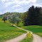 Frühling bei Weidenstetten