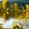 I am rich today with autumn's gold