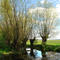 Aischquelle