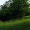 Blick auf Marktbergel 360°