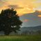 Natur bei Forth