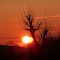 Sunset in March