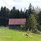 Tom`s Ranch