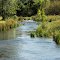 An der Trubach