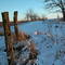 A winter trail (Lake fo the Woods)