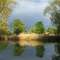 Vor dem Gewitter am Main