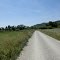 vor REUNDORF - warum nicht gleich : da vorne kommt er, der Main  . . .