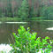 freevision  >> Panorama "Mühlfriedelweiher" <<