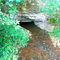 freevision>> Wasserauslauf aus dem Wasserberg<<.