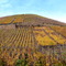 Vignoble AHR -DERNAU