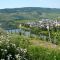 Blick vom Wanderweg Römersteig auf Trittenheim