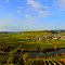 Moselschleife Trittenheim im Herbst