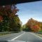 B 41 Nähe Birkenfeld - 11.10.08