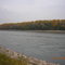 Der Rhein bei Germersheim