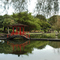Japaneese Garden in Hilo
