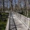 Magnolia Ridge, Cypress Swamp