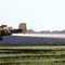 Cropdusting near Washington, La.