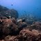 A 100 feet offshore at 50 feet depth
