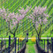 Bäume im Frühling