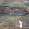 Neustadt a.d.Weinstraße - Weiher und Reben zwischen Diedesfeld und Alsterweiler