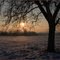 Winterabend  Contest Januar 2011